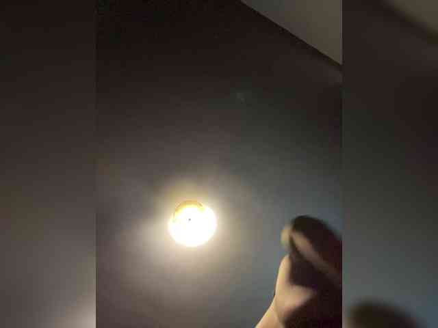 SPONGEBOBLOVER1 webcam