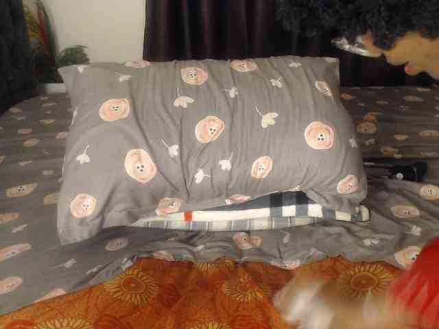 Amairah webcam