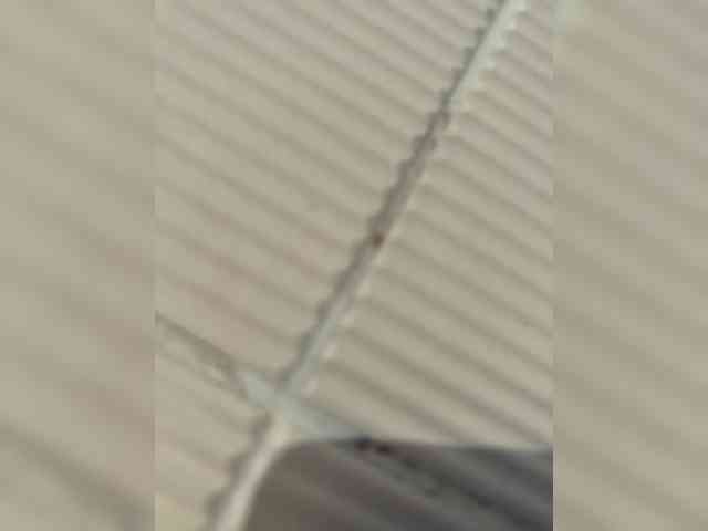 FeniX- webcam