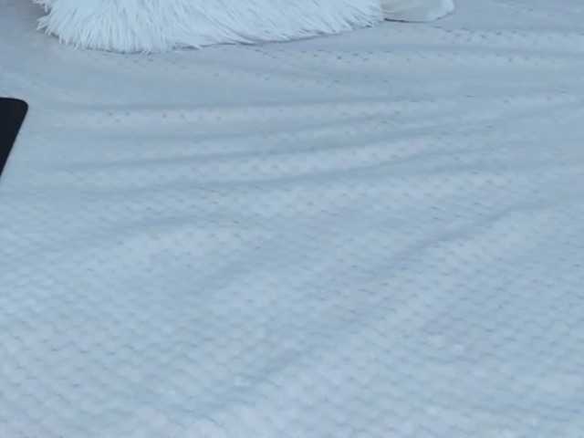 HollyTaillor's BongaCams show and profile