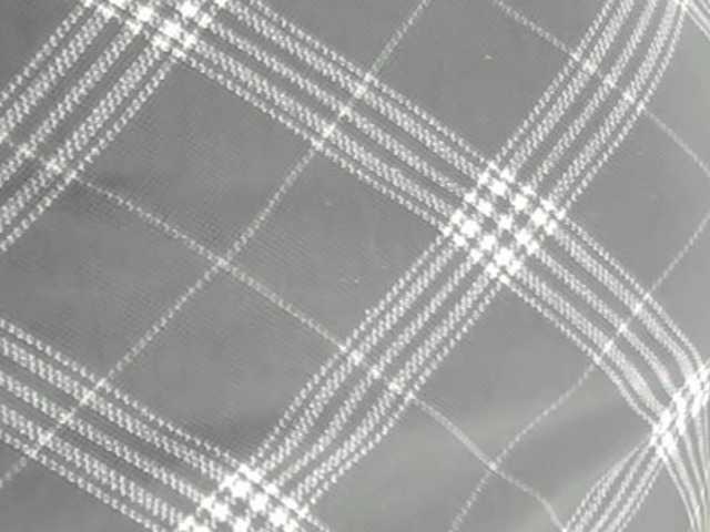 HollyTaillor's BongaCams show and profile