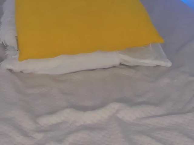 HollyTaillor's BongaCams show and profile