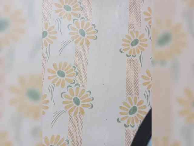 VselenaSun402 webcam