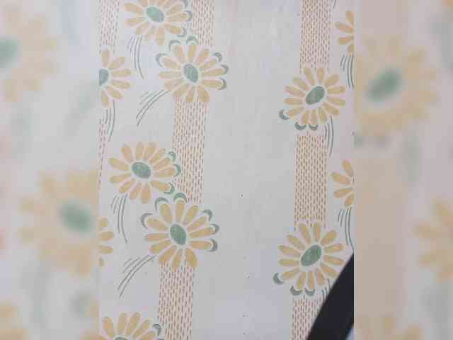 VselenaSun402 webcam