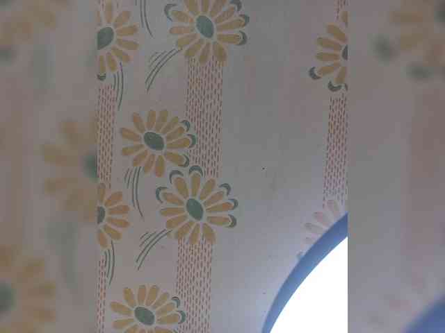 VselenaSun402 webcam