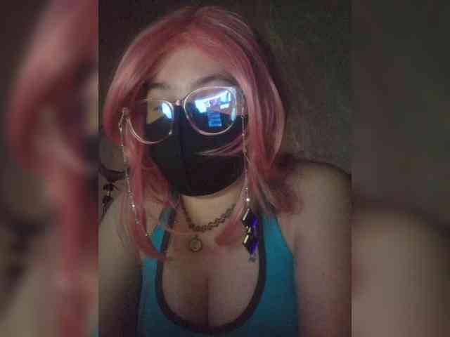 vai045a1 webcam