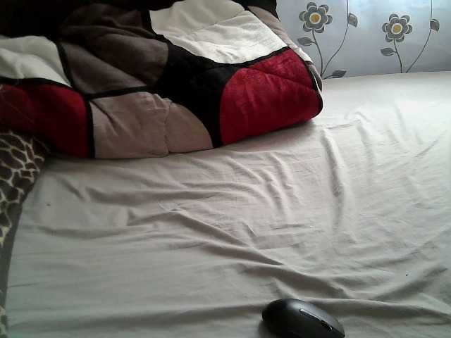 Tightpussy webcam bongacams model stream image