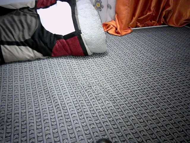 Tightpussy from BongaCams is Freechat