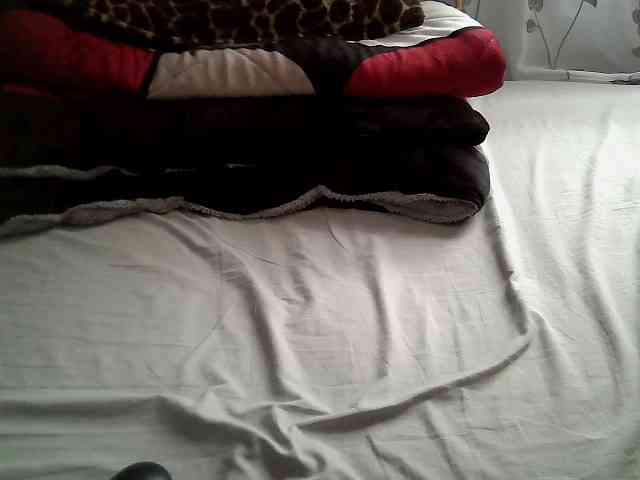 Tightpussy Live Webcam on BongaCams