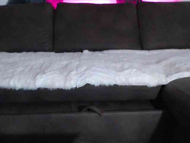 dilarry webcam