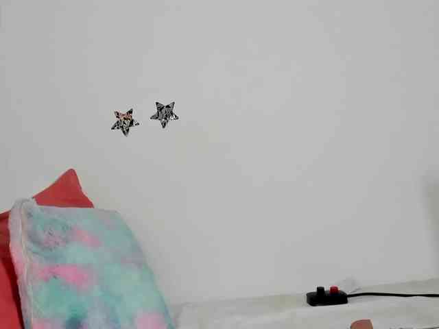 Dama-g webcam