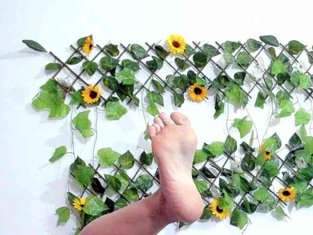 Tracy-Wright Tracy-Wright