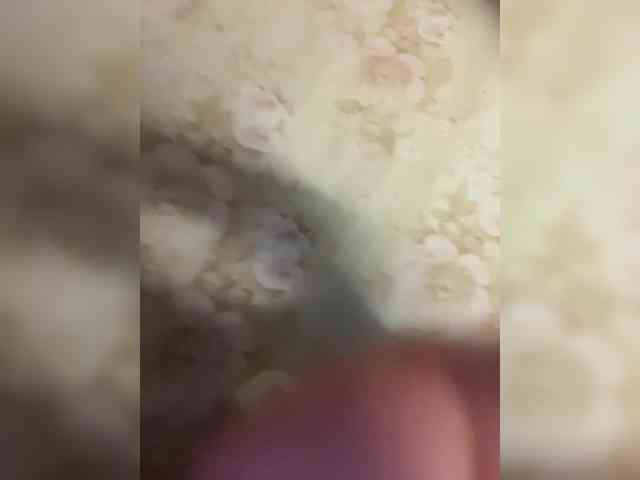 Chocolatito01 webcam
