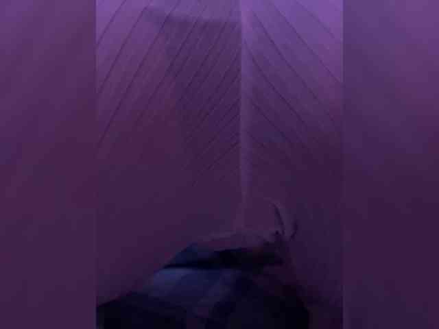 Sossex webcam