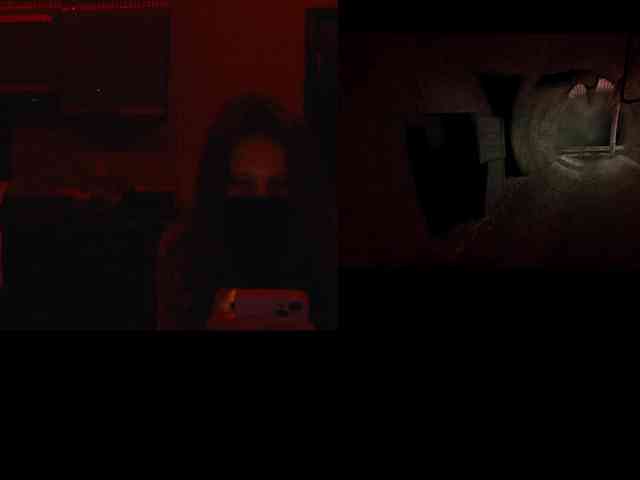 Sossex webcam