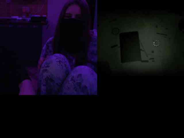 Sossex webcam