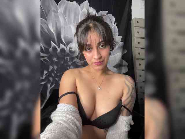 Bambixo webcam