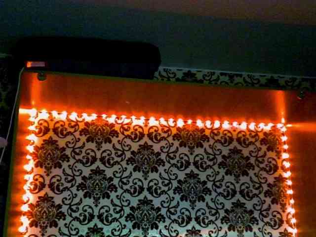 Pavuhi webcam