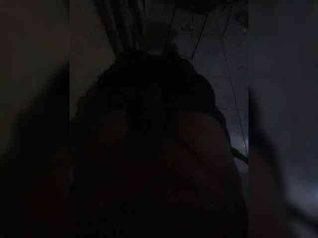 Alexanderoca webcam
