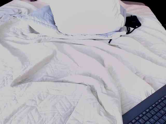 Sccarlett-D webcam