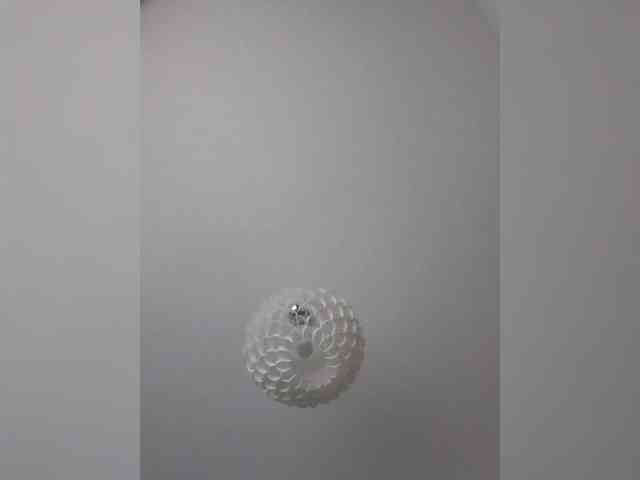 MiraNights webcam