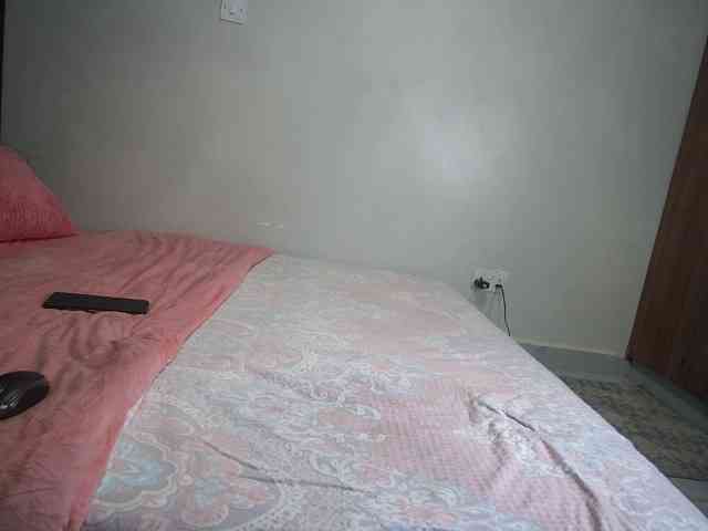 Fatasa webcam