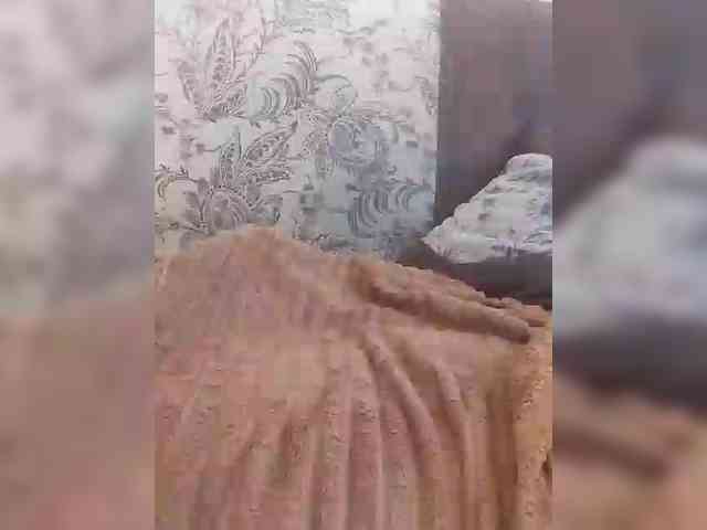 Verona29 webcam