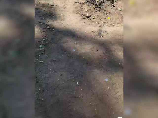 BerlogaLisa69 webcam