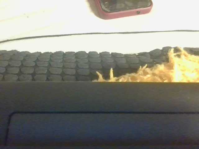  Sweetholley chat room
