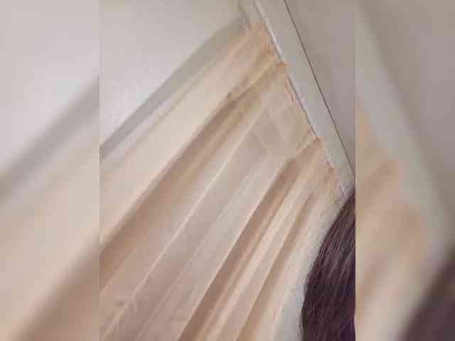 Kissa-is-klassa-a webcam