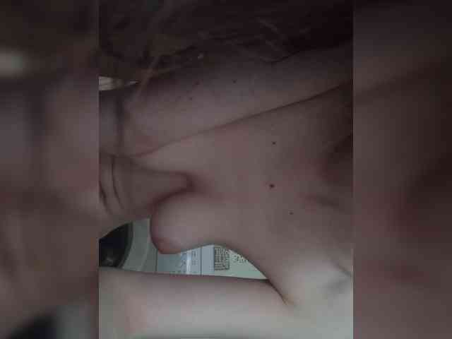 Kissa-is-klassa-a webcam