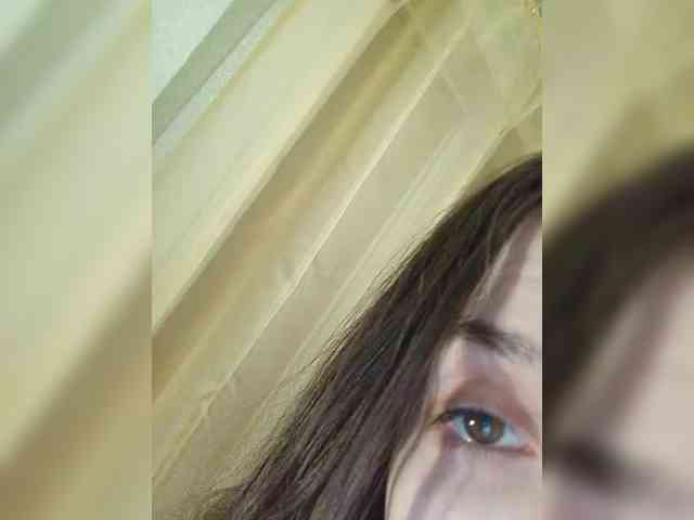 Kissa-is-klassa-a webcam