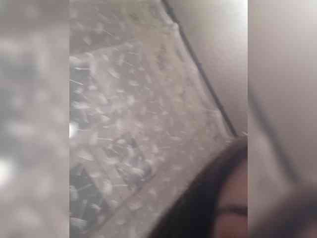 Kissa-is-klassa-a Live Webcam on BongaCams Kissa-is-klassa-a Live Webcam on BongaCams