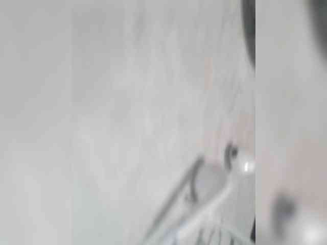 Kissa-is-klassa-a webcam
