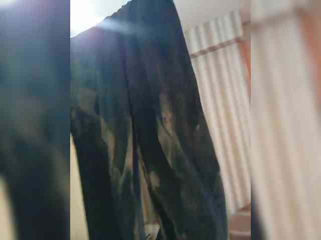 Kissa-is-klassa-a webcam