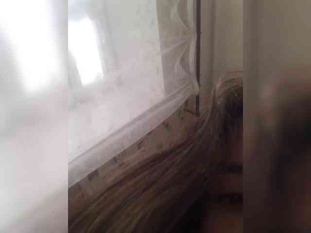 Kissa-is-klassa-a webcam