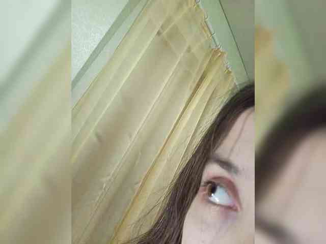 Kissa-is-klassa-a webcam