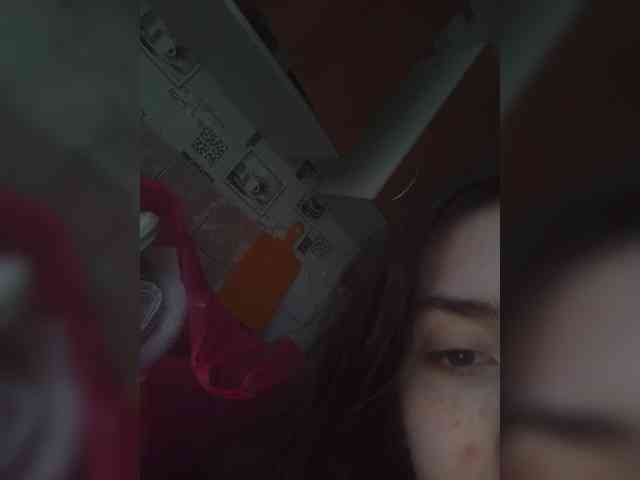 Kissa-is-klassa-a webcam