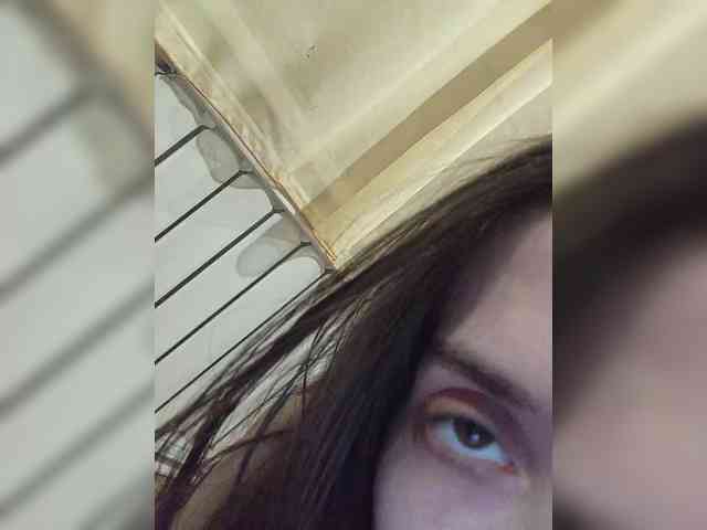 Kissa-is-klassa-a webcam