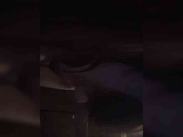 Kissa-is-klassa-a webcam