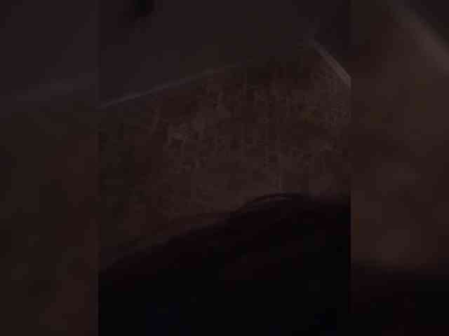 Kissa-is-klassa-a webcam