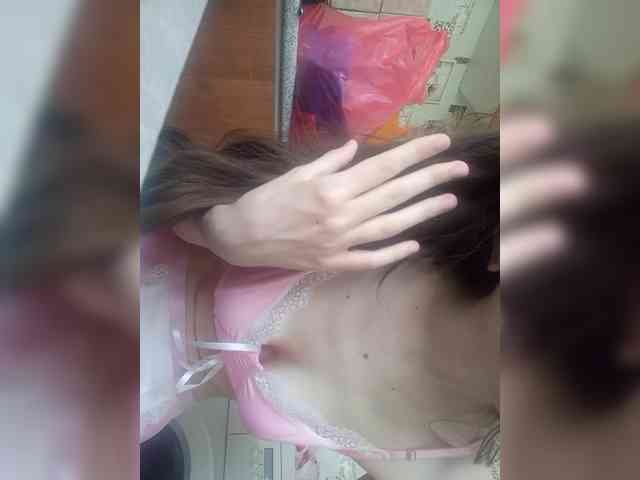 Kissa-is-klassa-a webcam