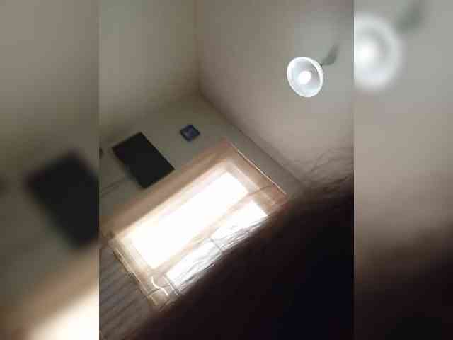 Kissa-is-klassa-a webcam