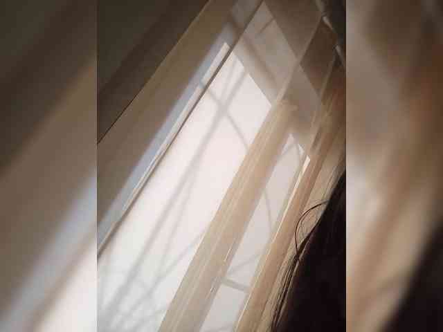 Kissa-is-klassa-a webcam