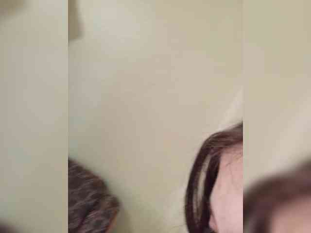 Kissa-is-klassa-a webcam
