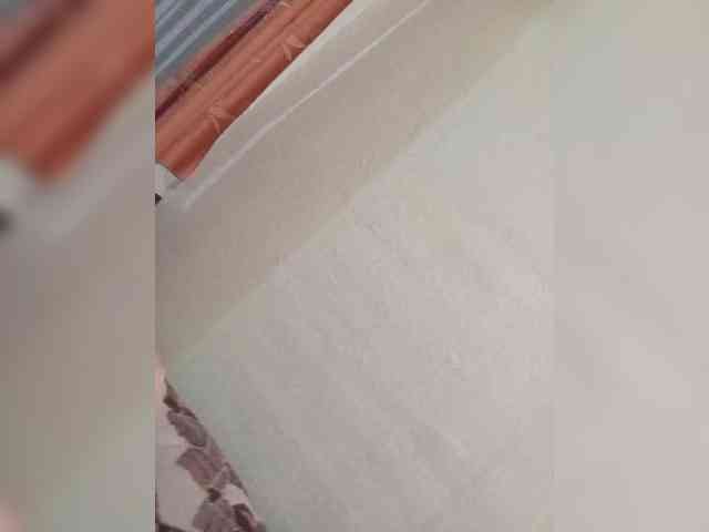 Kissa-is-klassa-a webcam