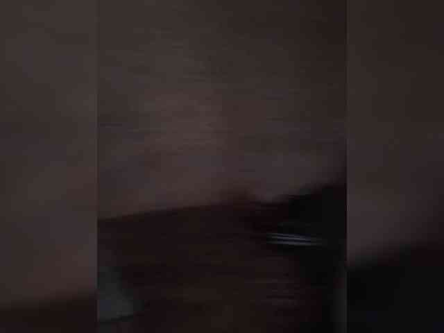 Kissa-is-klassa-a webcam