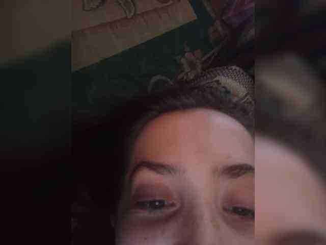 Kissa-is-klassa-a webcam