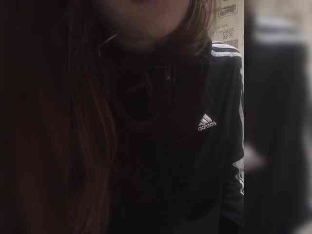 Kissa-is-klassa-a webcam