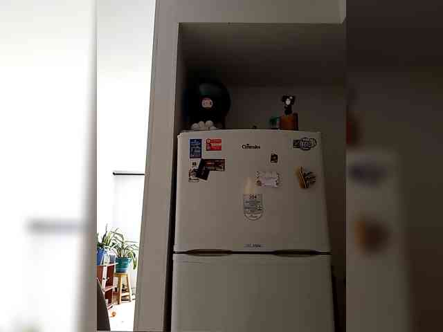 TanniaMarquez webcam